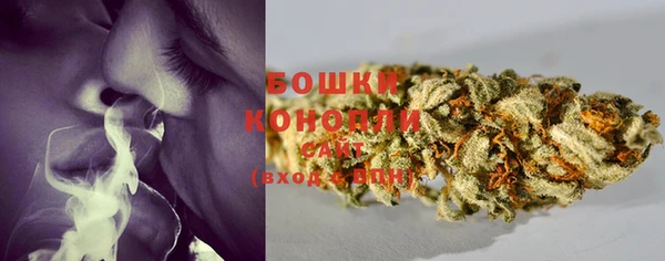 эйфоретик Белокуриха