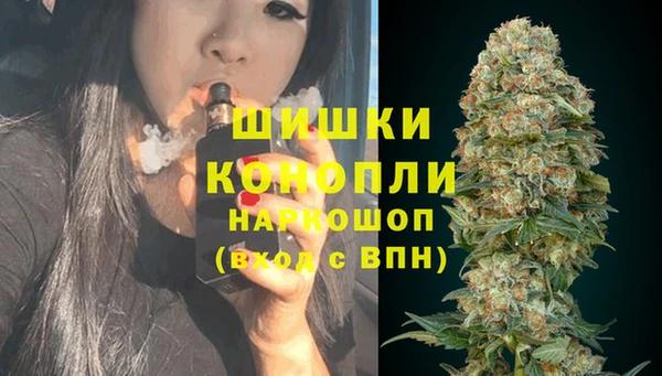 стафф Богородицк