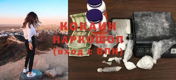 стаф Богородск