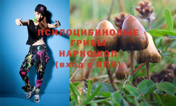 стафф Богородицк