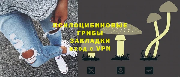 стафф Богородицк