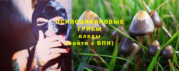 стаф Богородск